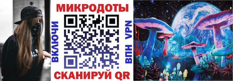 хочу   hydra   Псилоцибиновые грибы прущие грибы  Никольск 